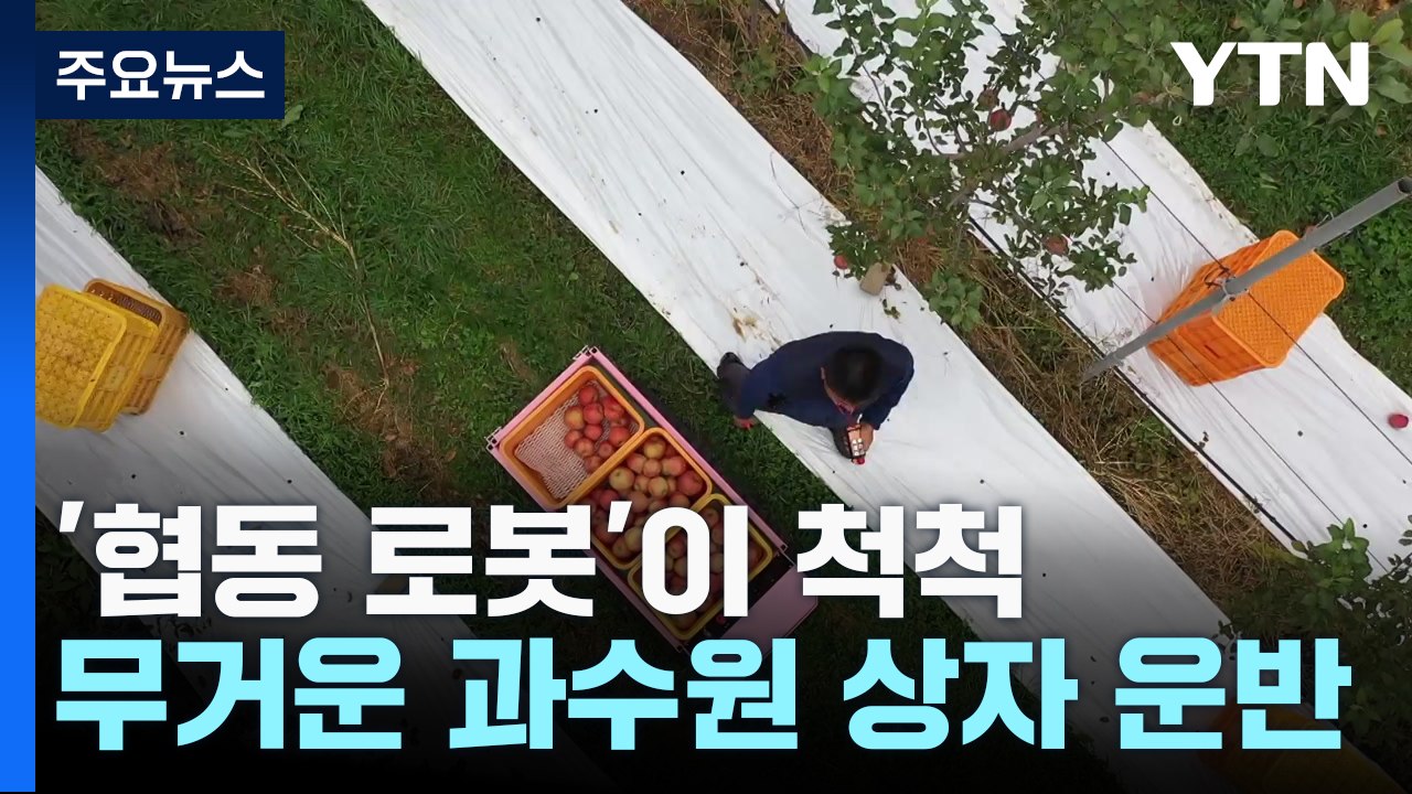 무거운 과수원 상자 운반...로봇이 알아서 '척척' / YTN