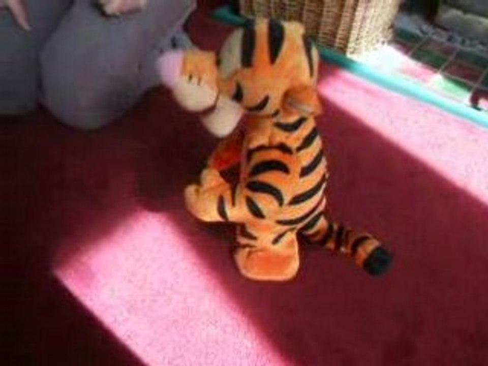 Tigger Bounce