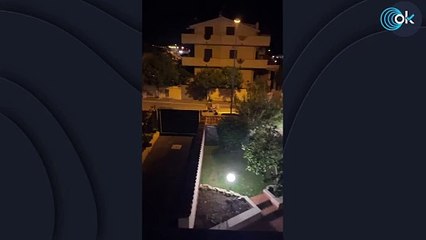 Alarma en la provincia de Roma: un león se pasea suelto por las calles desatando la alerta