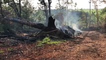 Bombeiros combatem incêndio em vegetação no Esmeralda