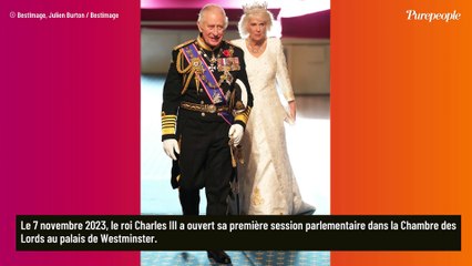 Charles III à l'honneur : Un nouveau portrait officiel dévoilé pour ses 75 ans, il révèle aussi ses plus grands souhaits