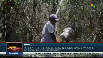Brazil: Residents of the Xukuru indigenous nation are working to restore a thorn forest