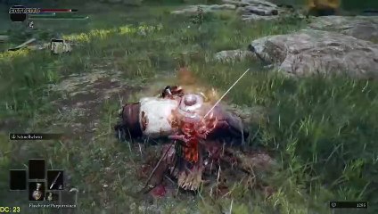 Angriff aus dem Hinterhalt! | Elden Ring | Ep. 17