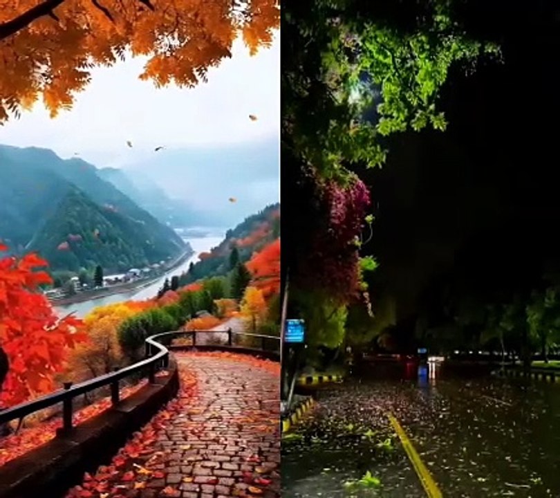 پرسکون تلاوت
