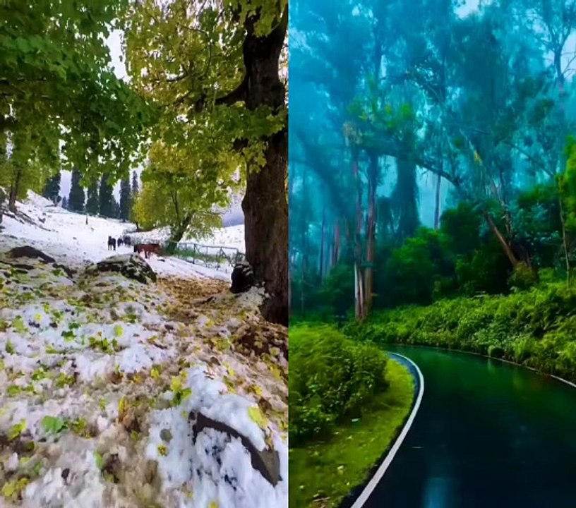 سبحان اللہ