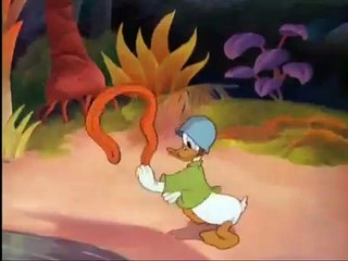 Donald Duck - Commando Duck