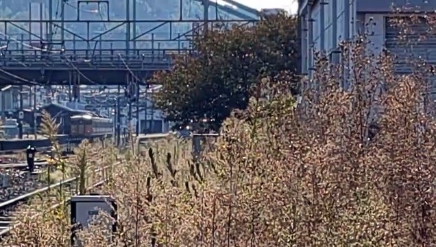 PXL_20231017_083101 1091列車・1091レ