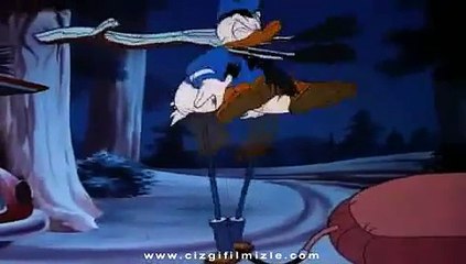 Donald Duck - Uykusuz Donald (cizgifilmizle.com)