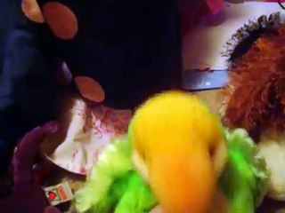 MyWebkinzRock101 - My 10 Fav Webkinz _D _) _D