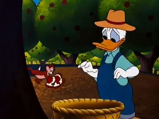 Donald Duck, Chip N Dale - Donald Applecore