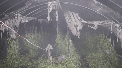 김해 토마토 재배 비닐하우스 불..."8천만 원 재산 피해" / YTN