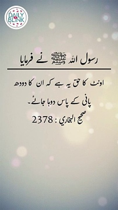 Daily Hadees | Hadees Sharif | Sahih Bukhari 2378 || Daily Blink #shorts #viral #sahihbukhari