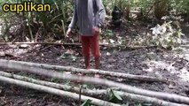 Solo Camping In Heavy Rain Sleeping Soundly In a Simple Hut