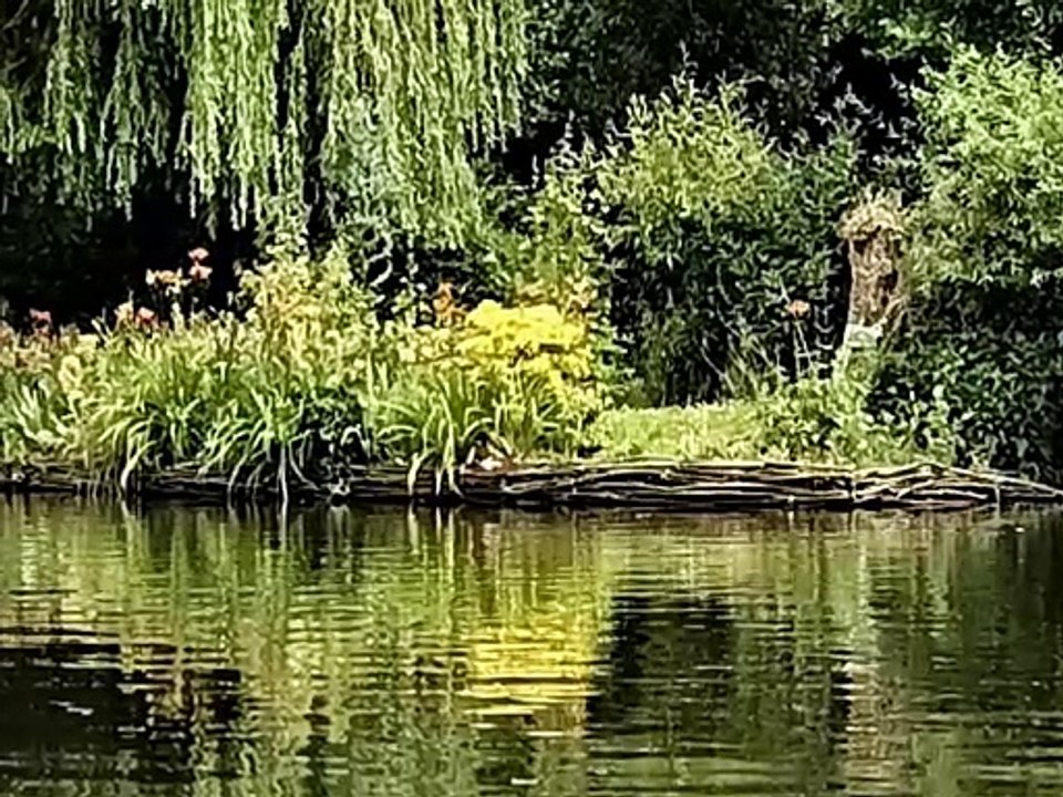 Les hortillonnages d'Amiens