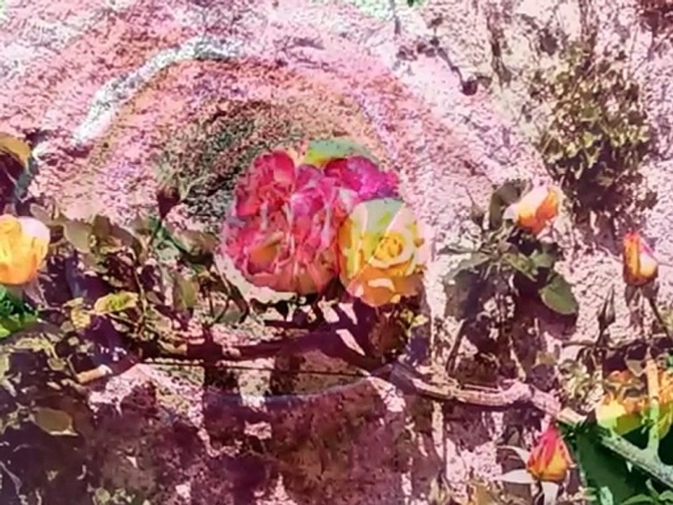 FLEUR
