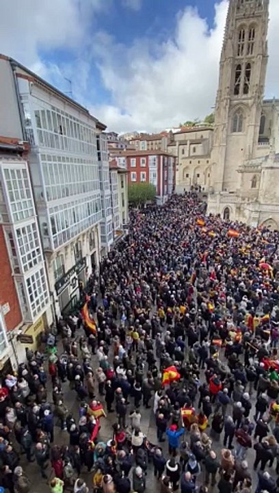 Manifa amnistía