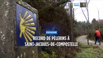Record de pèlerins à Saint-Jacques-de-Compostelle