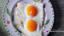 Benefits of chicken eggs