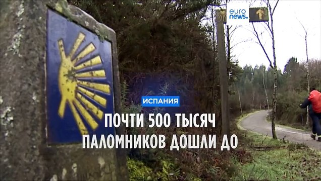 В 2023-м по Эль Камино де Сантьяго прошли почти 500 тысяч человек