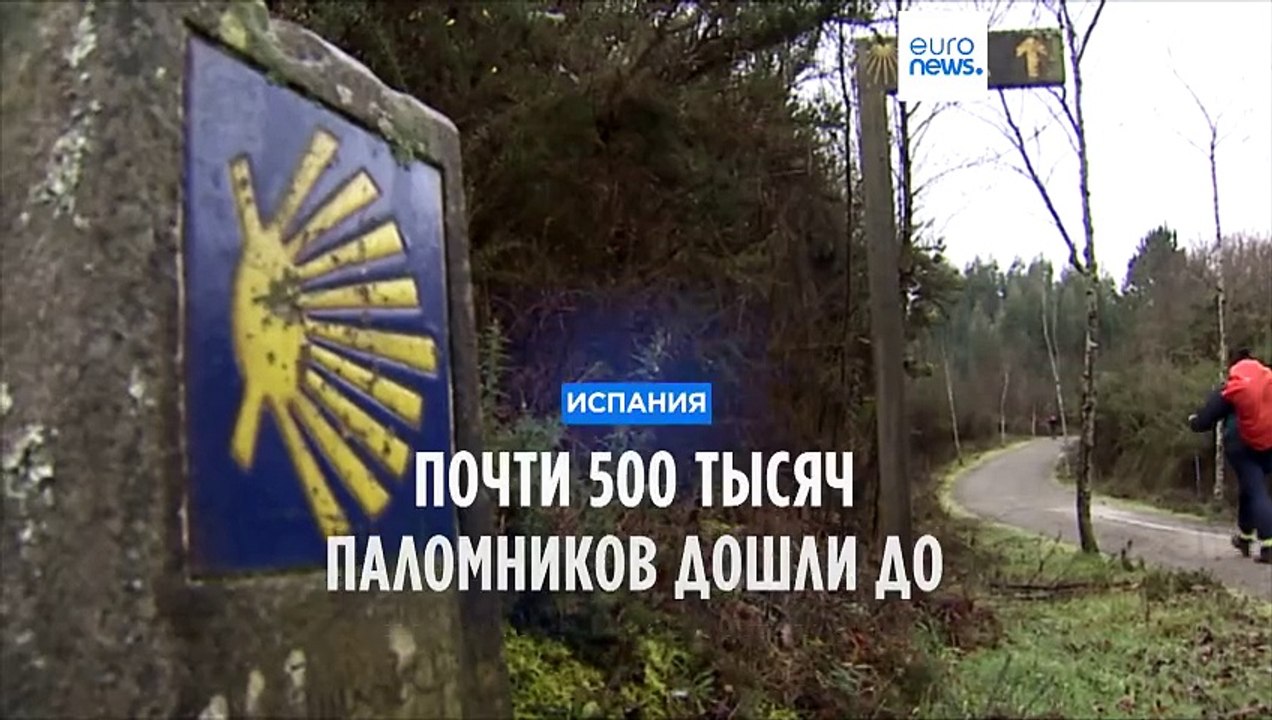 В 2023-м по Эль Камино де Сантьяго прошли почти...