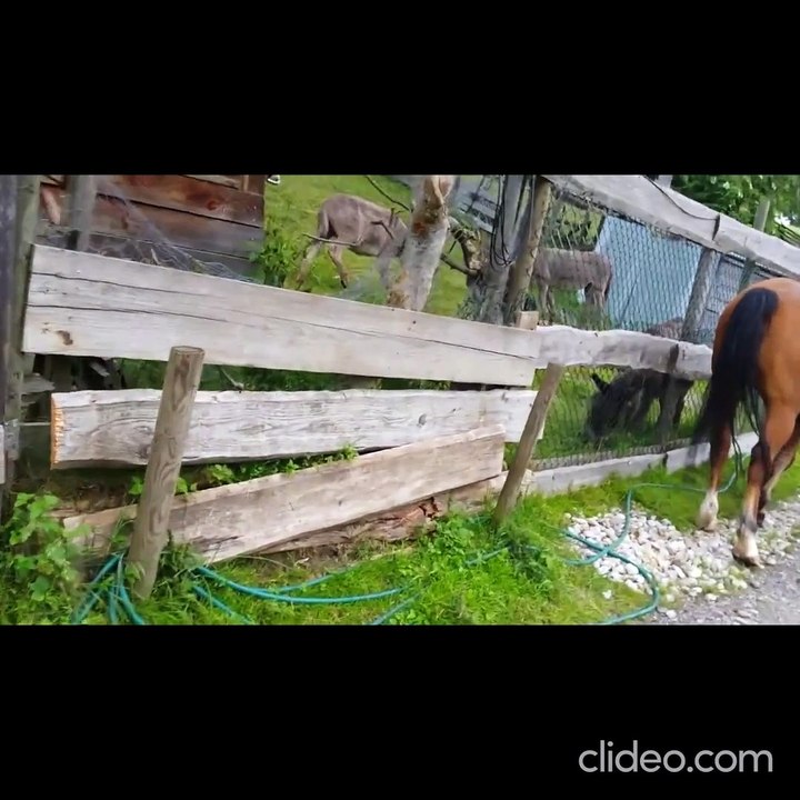 lebenslauf-manuel-zeitler-neu-neu_i22TVK5I