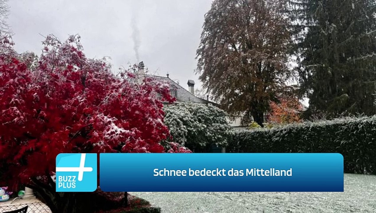 Schnee bedeckt das Mittelland