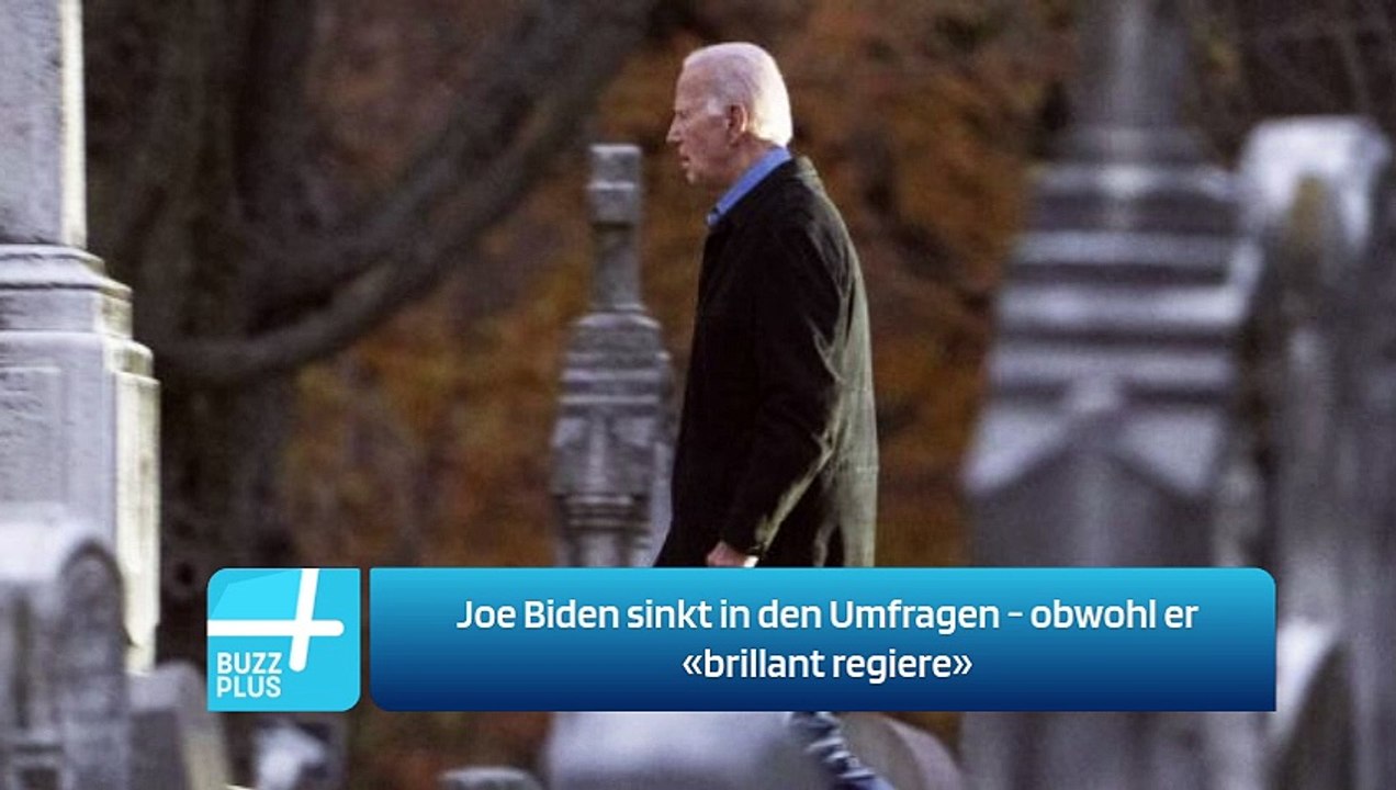 Joe Biden sinkt in den Umfragen - obwohl er «brillant regiere»