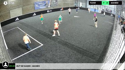 But de gabin - manes