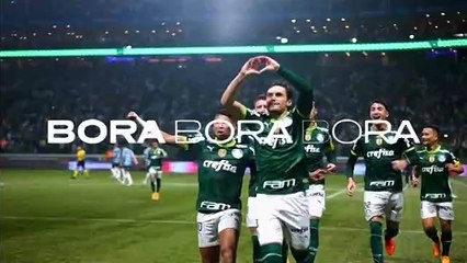 BOTAFOGO 3X4 GREMIO compacto BRASILEIRAO 2023