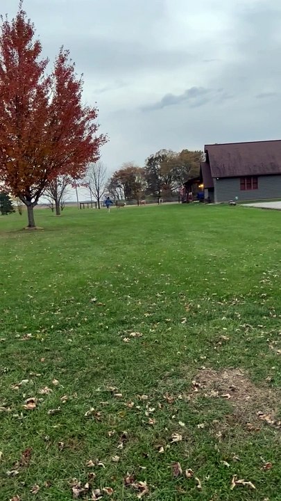 Woman Rescues Doe With Jug Stuck on Her Head