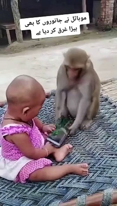 Is chiz ne to janwar ka bhi bedha garaq kia