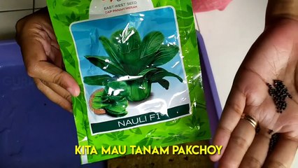 hydroponic growing method