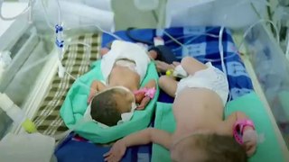 Premature babies are dying at Gaza's al-Shifa Hospital _ Al Jazeera Newsfeed