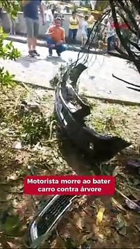 Motorista morre ao bater carro contra árvore