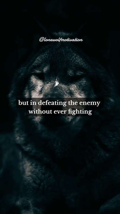 Ancient philosopher's life lessons quotes - Lone wolf motivation Life will test you, pushing you to your limits. Hold