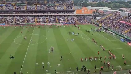 ext-peluches-saprissa-121123