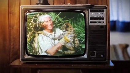 Mutual of Omaha's Wild Kingdom Protecting the Wild | show | 2023 | Official Trailer