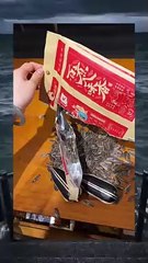 Funny videos you will not regret if you watch them