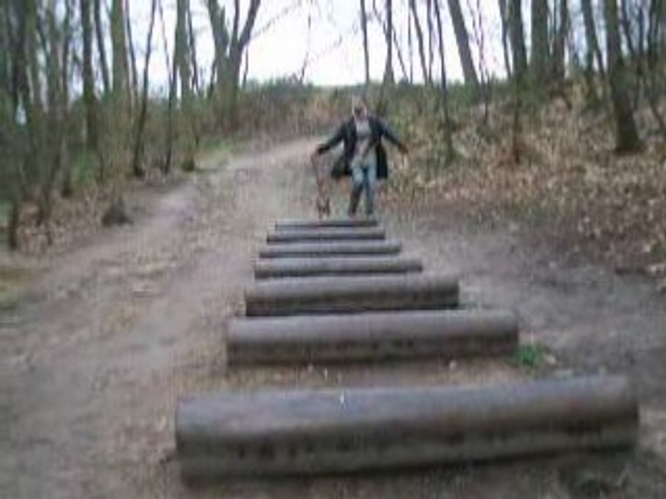 Sauts de troncs, 1ère!