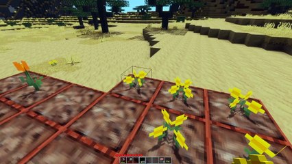 Minetest Mod Review: Flower Beds