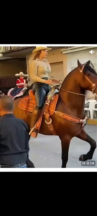 Horse knows what men want