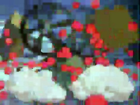 Donald Duck - Donald's Lucky Day (1939)