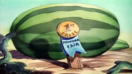 Donald Duck Donald's Garden