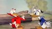 Donald Duck Donalds Better Self 1938 (Low)