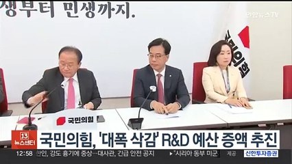국민의힘, '대폭 삭감' R&D 예산 증액 추진