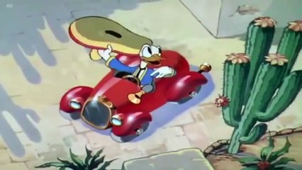 Donald Duck,Daisy Duck Don Donald