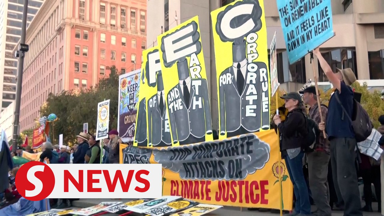 Apec San Francisco protesters span gamut of political issues, call for Gaza ceasefire