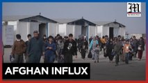 Afghan returnees surge amid Pakistan exodus