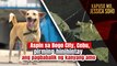 Aspin sa Bogo City, Cebu, pirming hinihintay ang pagbabalik ng kanyang amo | Kapuso Mo, Jessica Soho