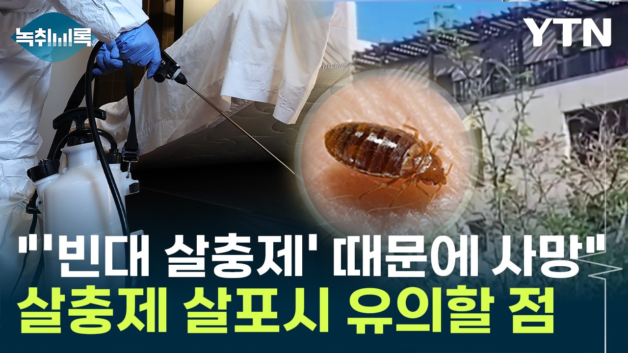 "옆 방서 뿌린 '빈대 살충제'에 사망"...살충제 살포시 유의할 점은? [Y녹취록]...